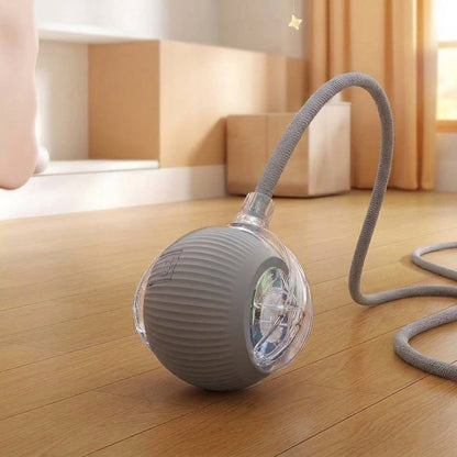 Interactive Cat Ball