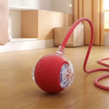 Interactive Cat Ball
